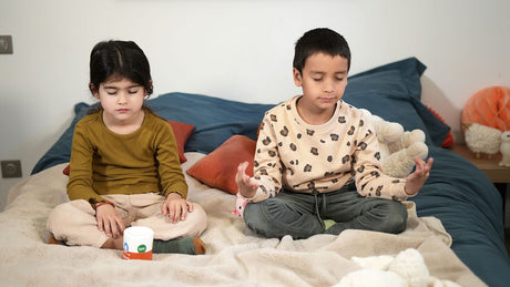 Déconnexion numérique