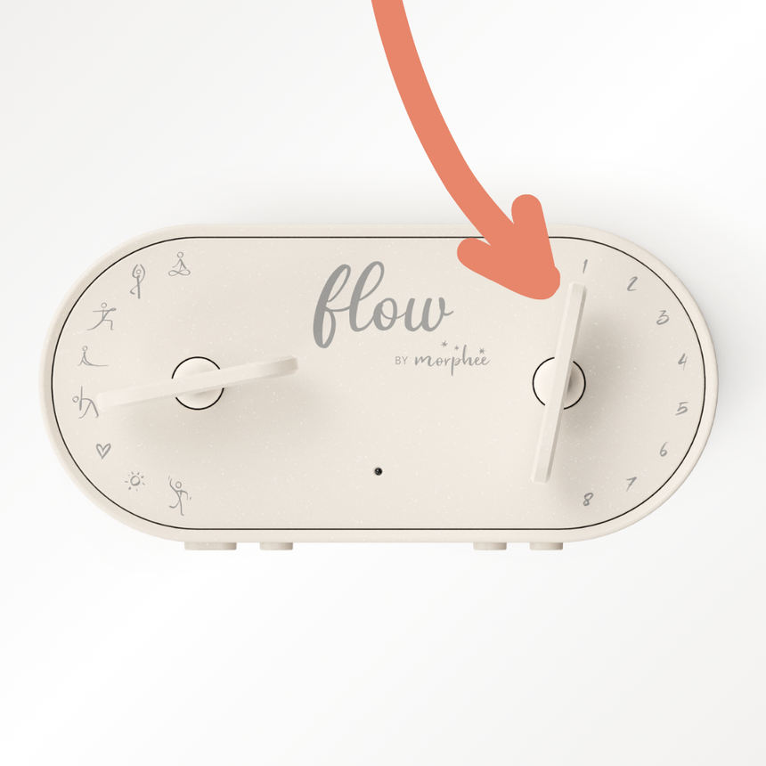 Flow I Morphée – Morphee